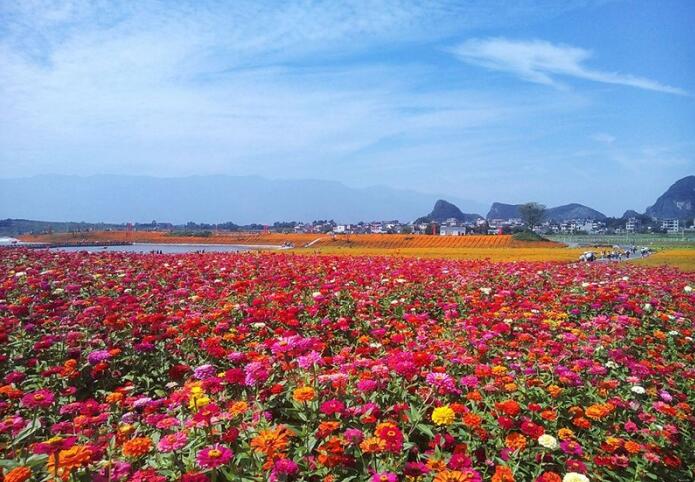 广西富川瑶族自治县神仙湖花海三期升级工程可研报告